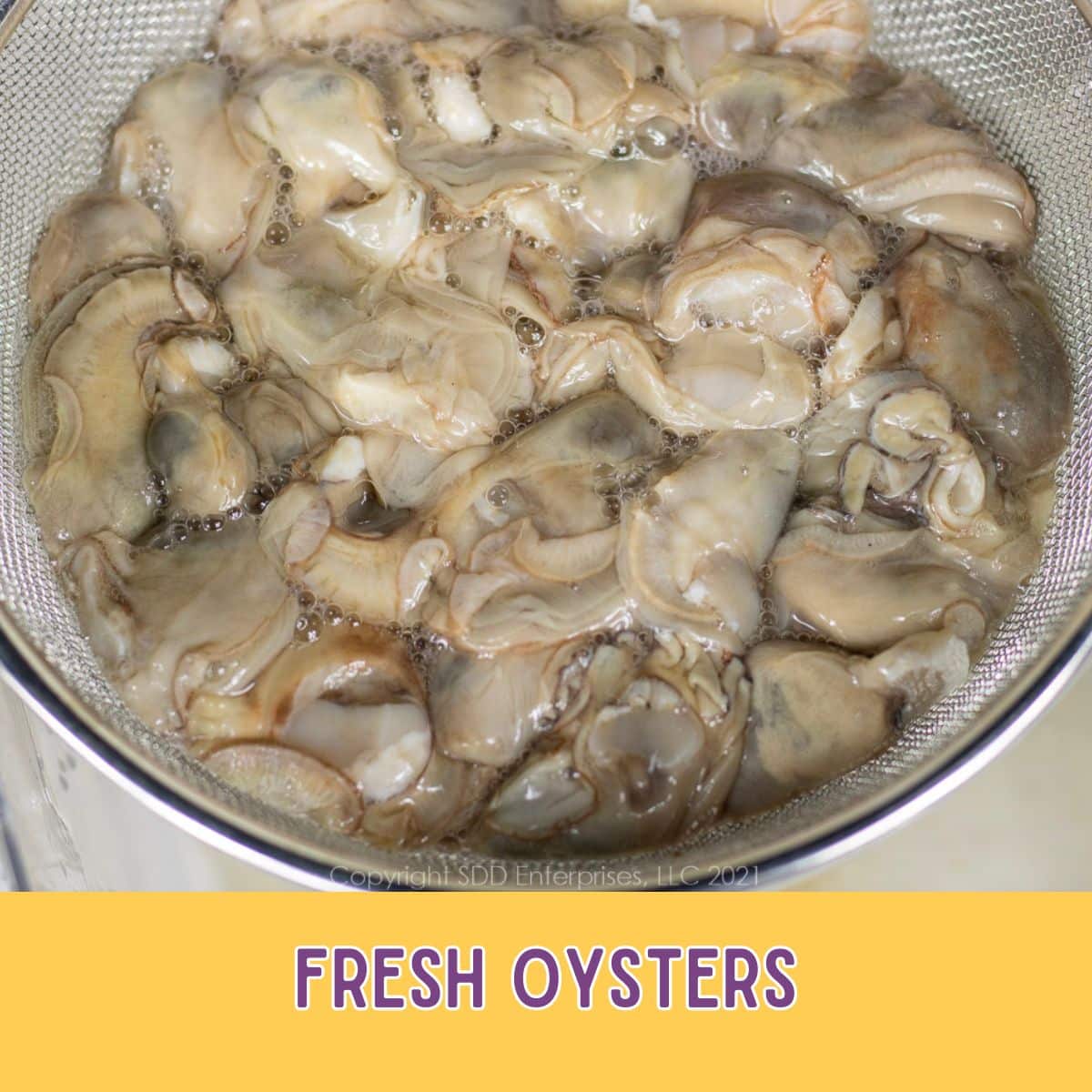 Fresh oysters in a strainer over a bowl.