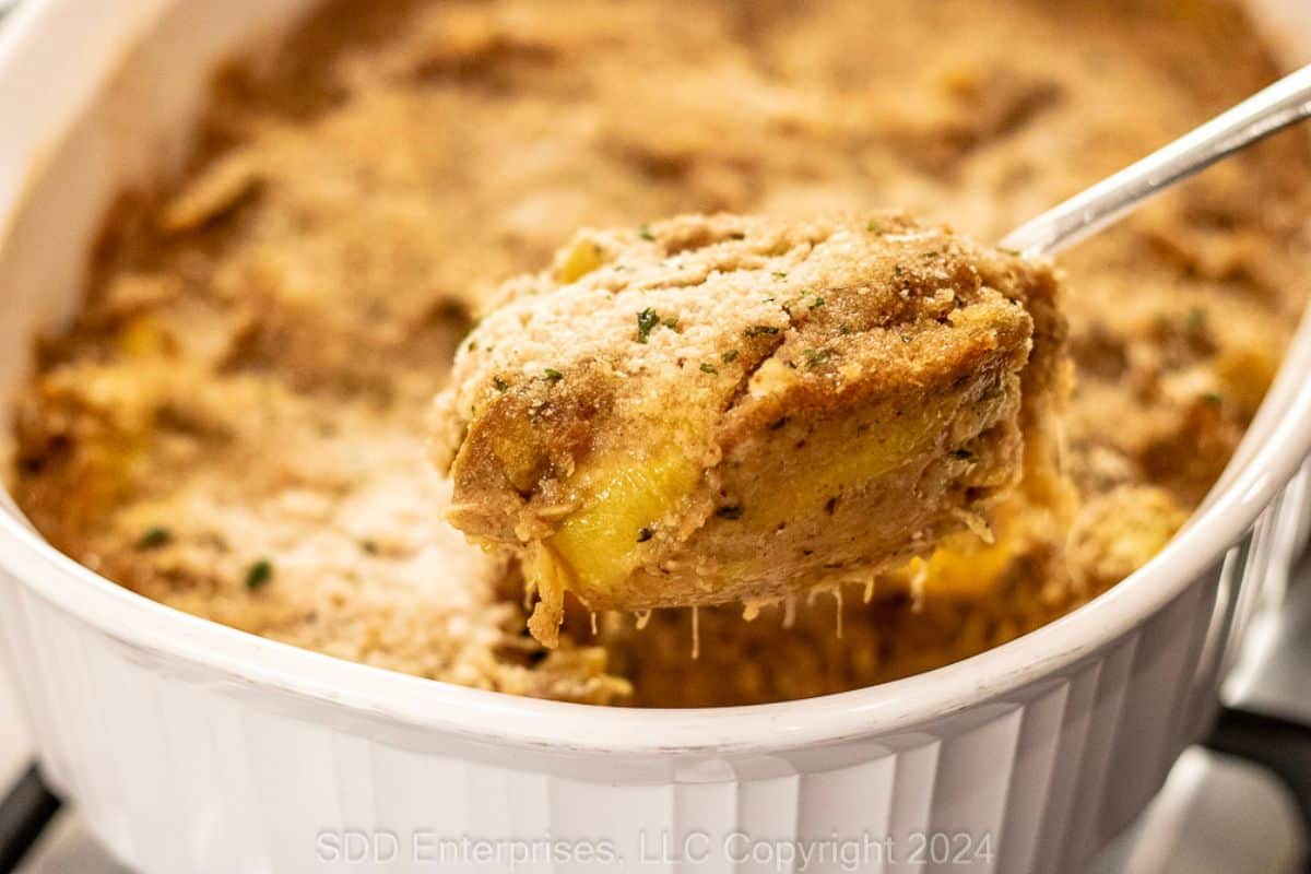Serving yellow squash casserole. 