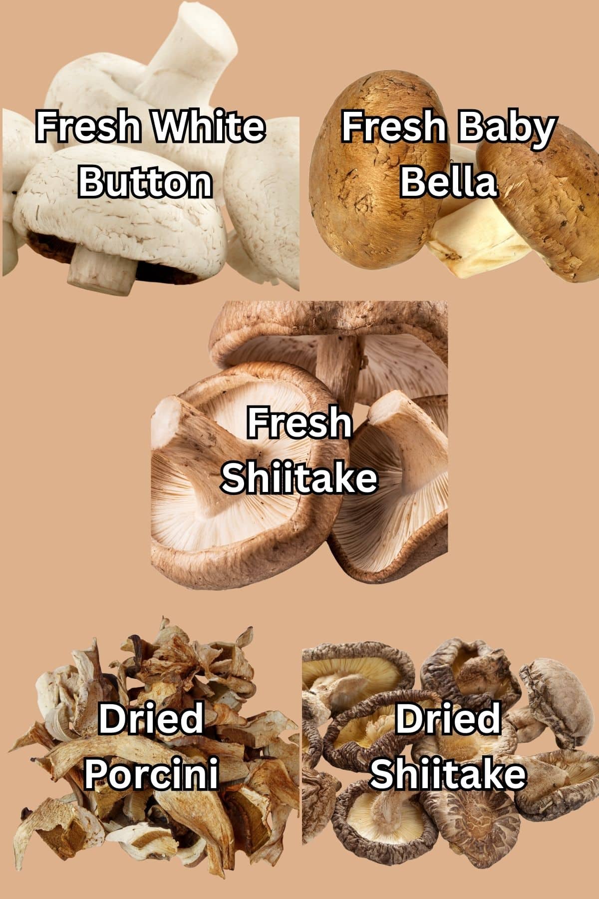 Five types of mushrooms.