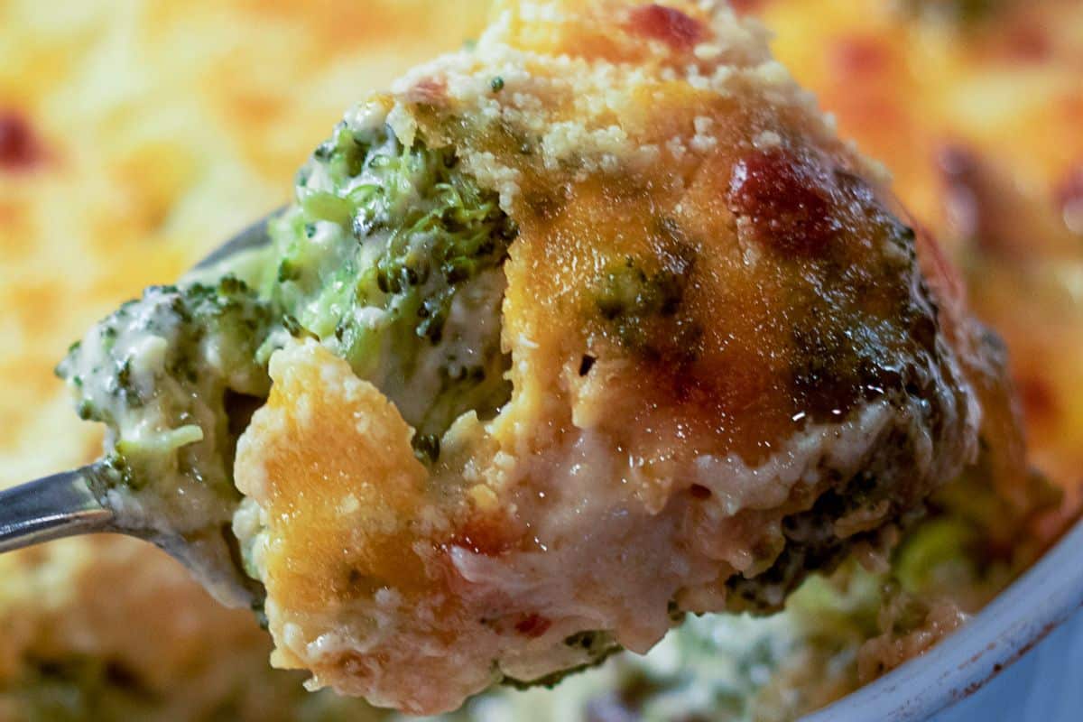 Spoonful of cheesy broccoli casserole showing tender broccoli coated in creamy melted cheese.