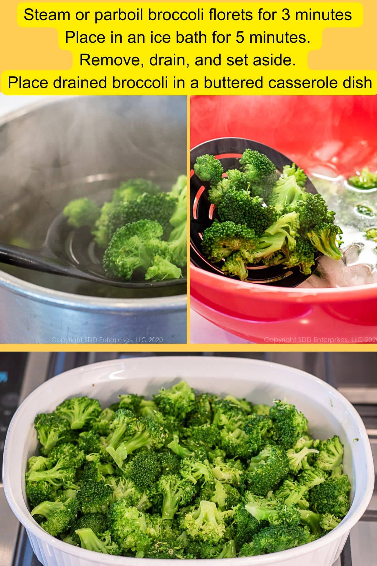 Steps for preparing broccoli: steaming florets, cooling in an ice bath, and draining in a buttered casserole dish.