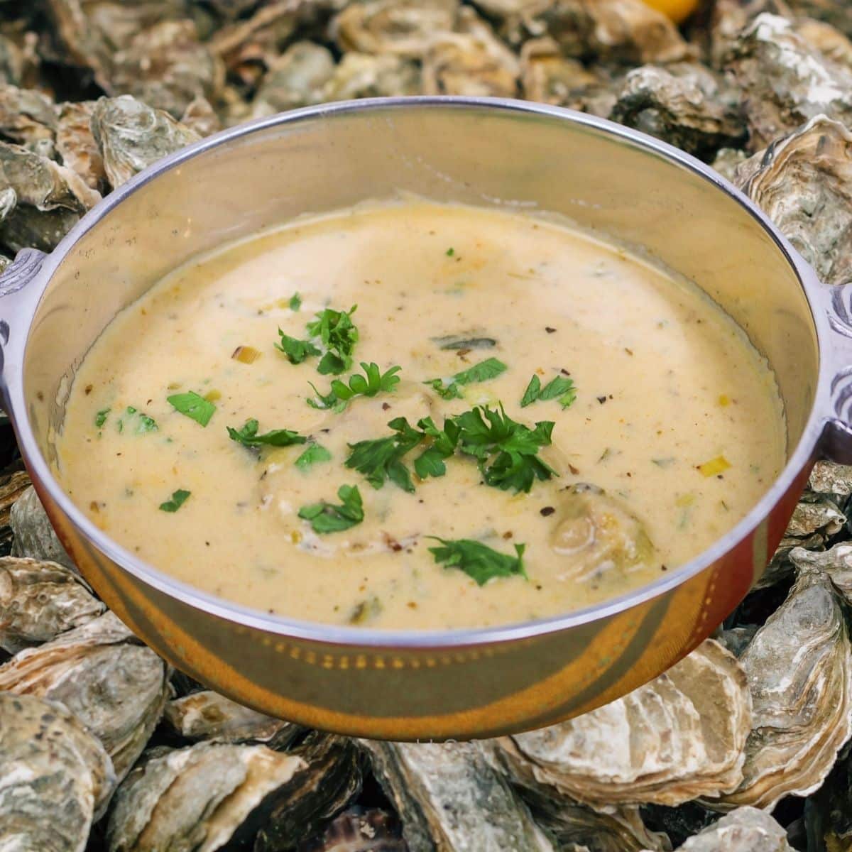 Oyster Soup in a silver serving dish overlaid on oyster shells.