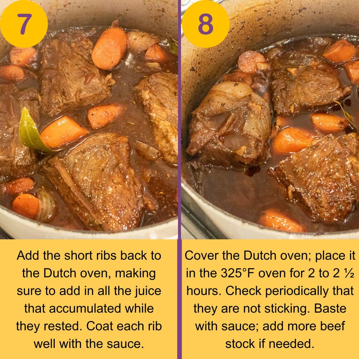Beef short ribs added to a braising liquid in a Dutch oven.