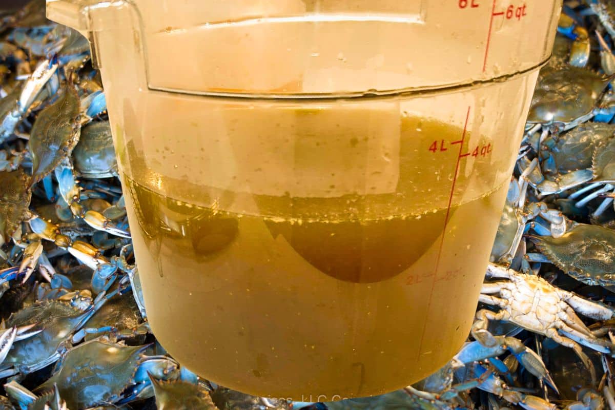 Homemade Crab Stock overlaid on blue crabs.