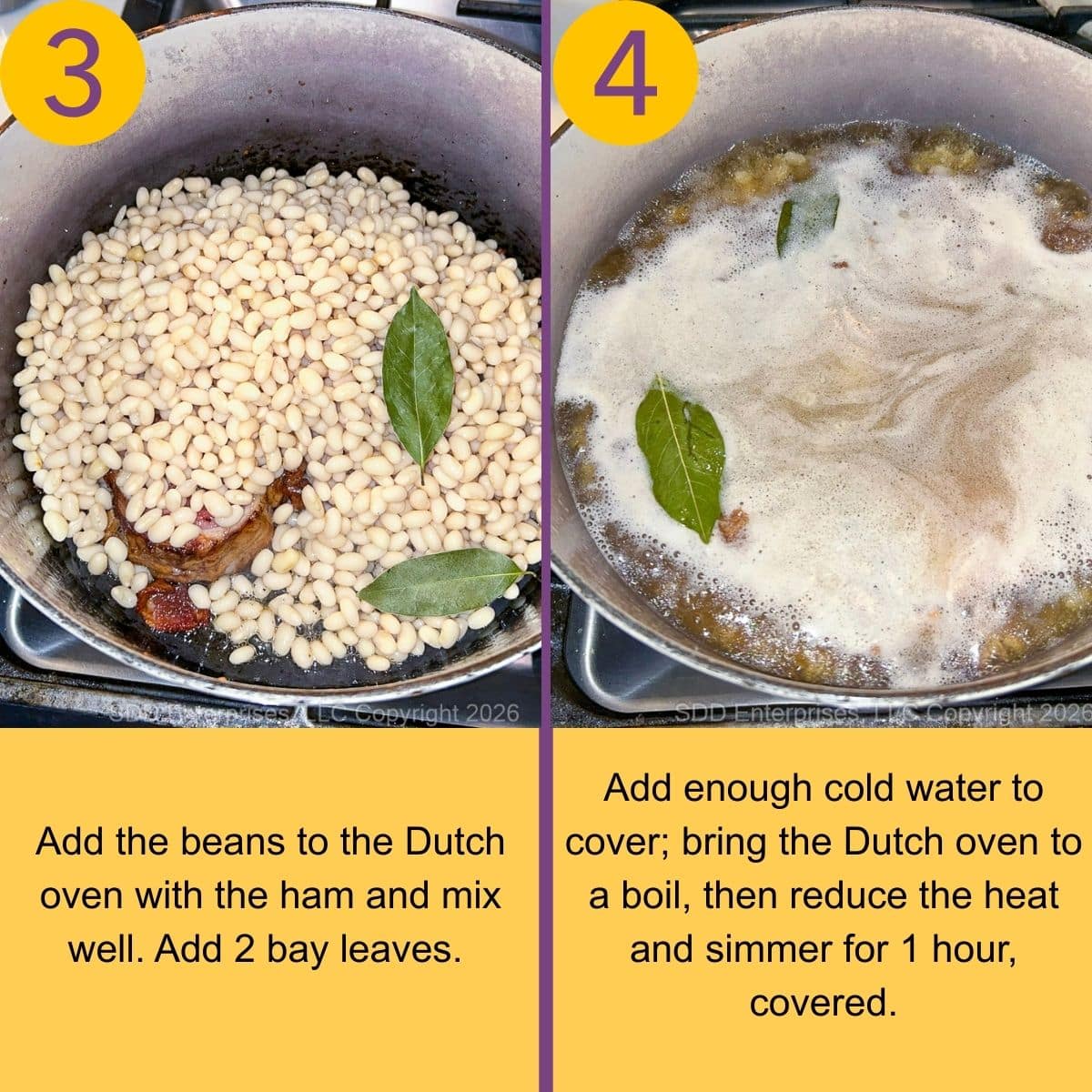 Navy Beans added to seasoning meat before simmering in a Dutch oven.