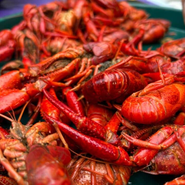 Boiled crawfish.