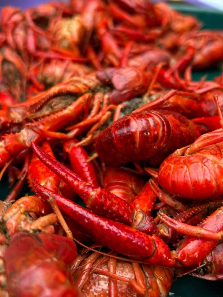 Boiled crawfish.