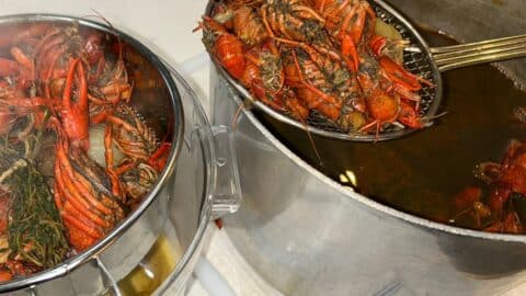 Straining crawfish shells from a stock pot while making homemade stock.