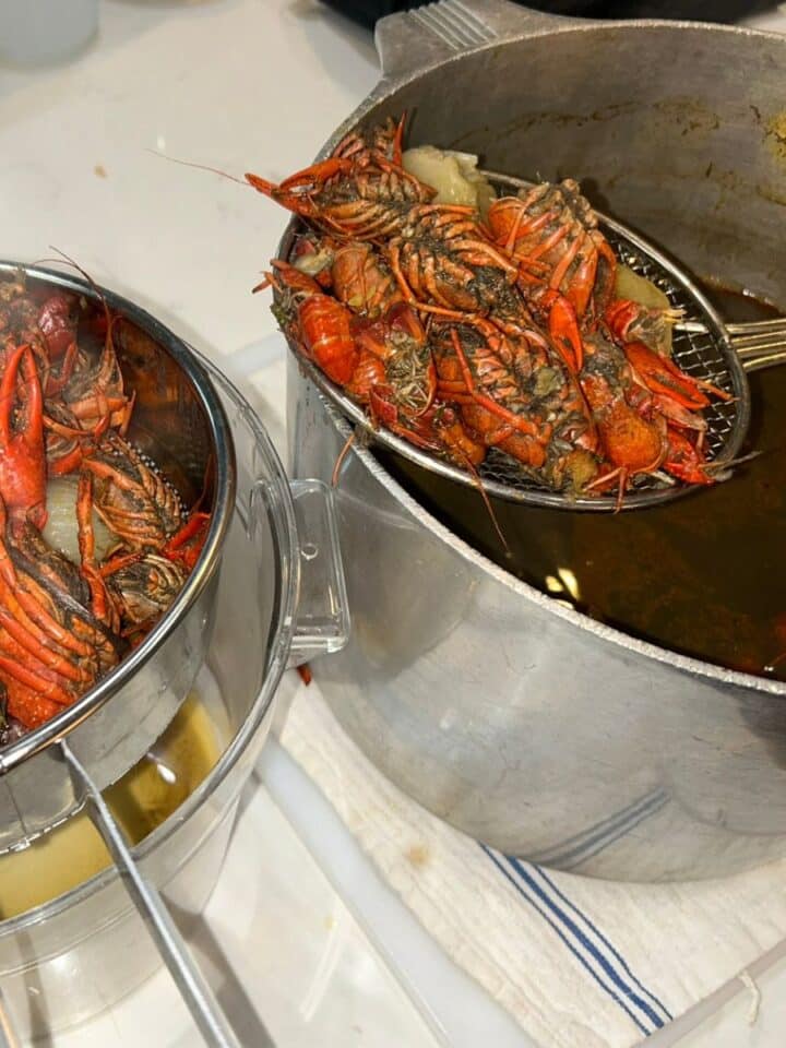 Straining crawfish shells from a stock pot while making homemade stock.