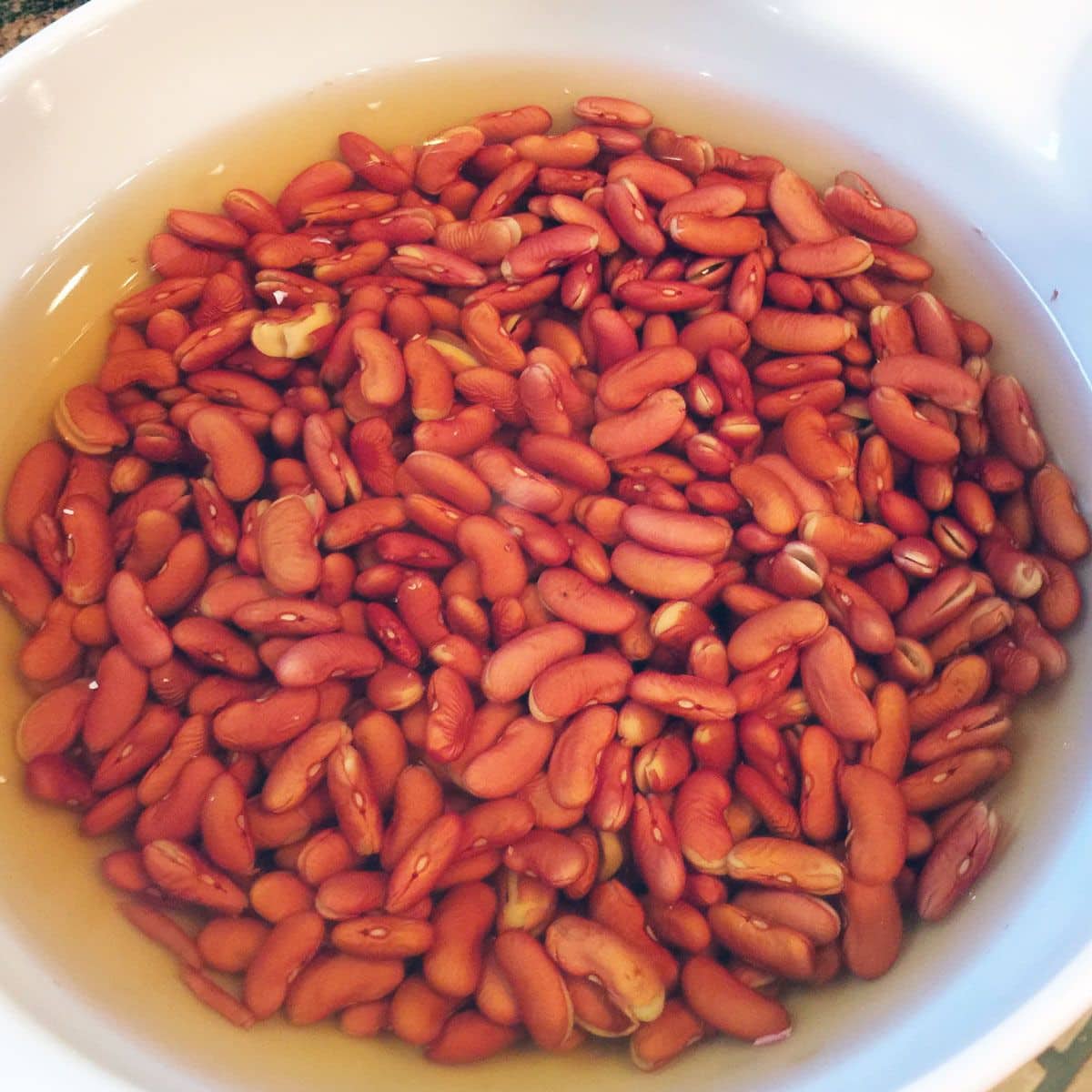 Soaked dry red kidney beans after an overnight soak.