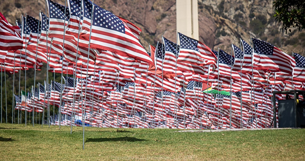 Dozens of American flags waving in a field.