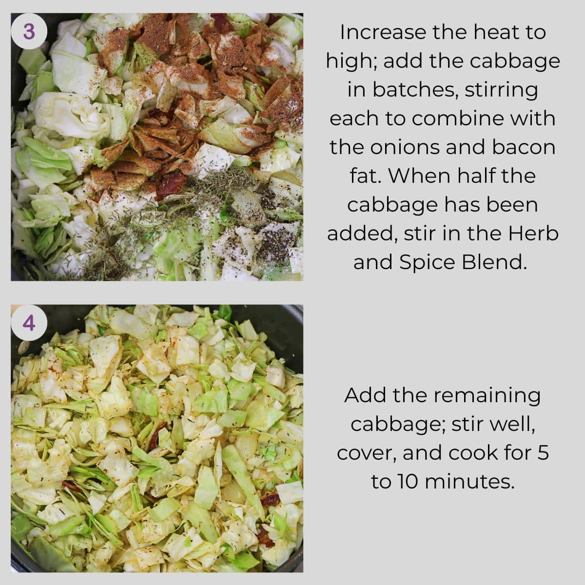 Chopped cabbage and seasonings added to the Dutch oven before briefly cooking covered.
