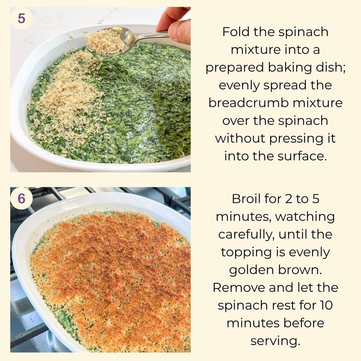 Creamed spinach transferred to a shallow baking dish, covered with Romano breadcrumbs, and broiled until crisp and golden brown.